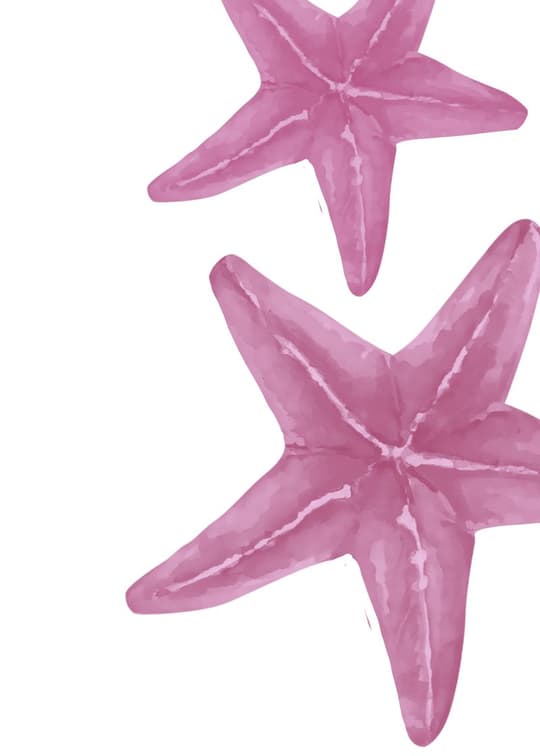 Pink Starfish Duo