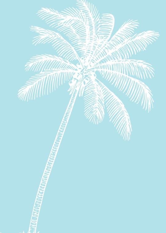 Palm Tree Line Art