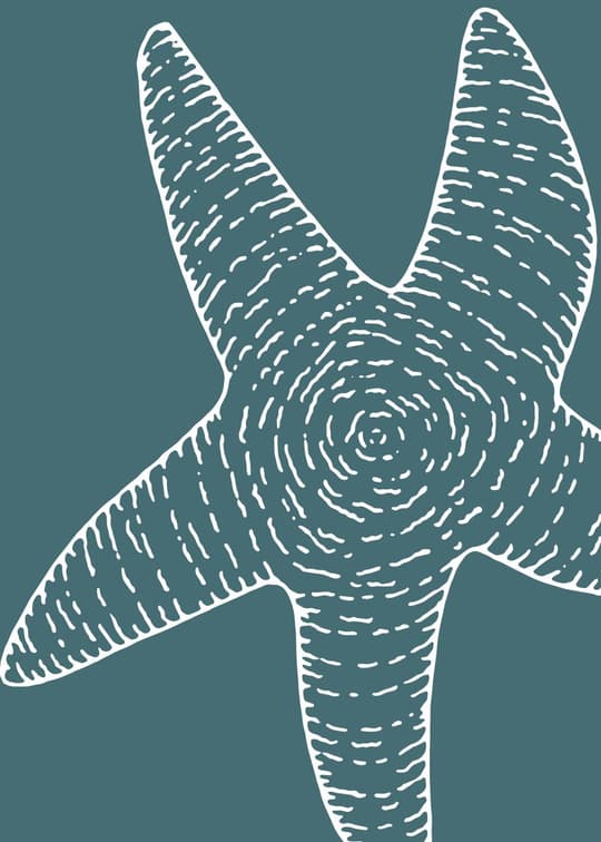 Starfish Line Art