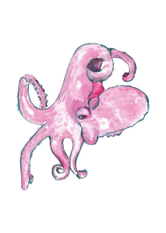 Pink Octopus Dance