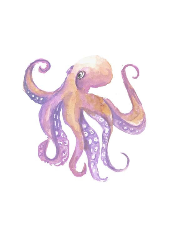 Purple Octopus