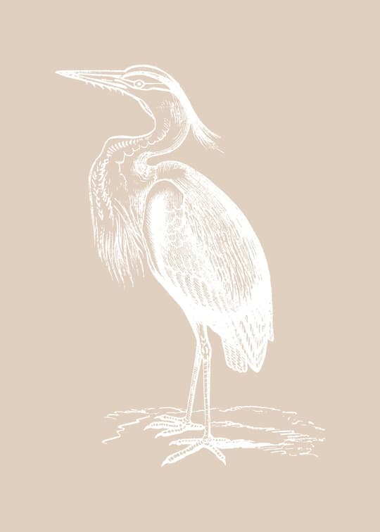 Heron Study