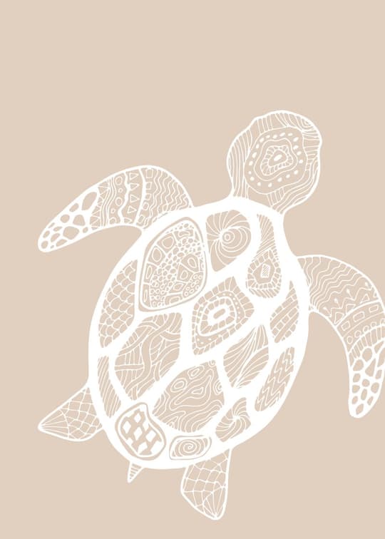 Patterned Sea Turtle