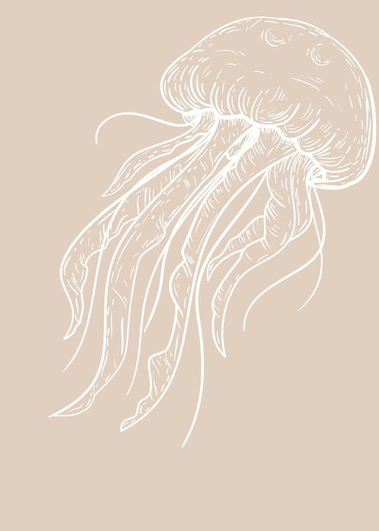 Jellyfish Line Drawing