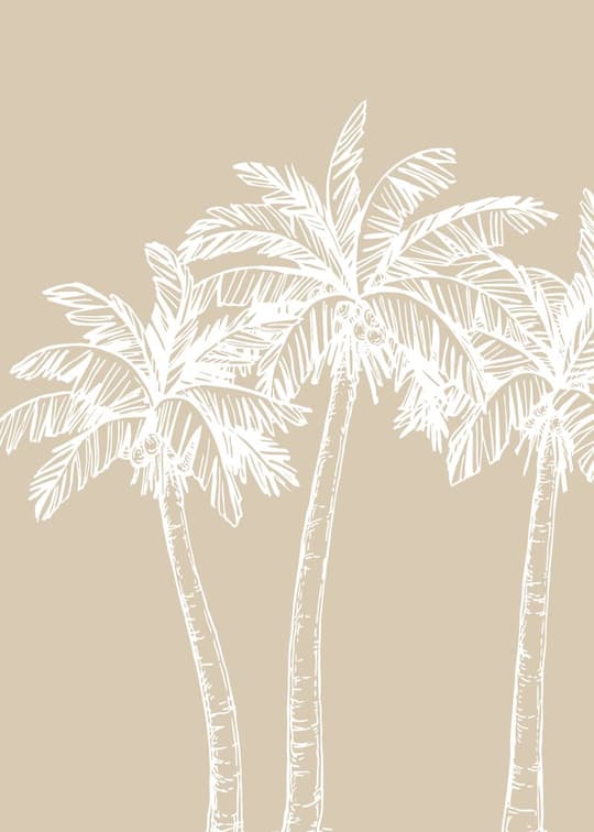 Palm Trees Line Drawing