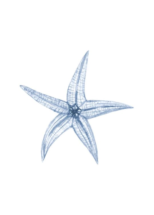 Blue Starfish Study