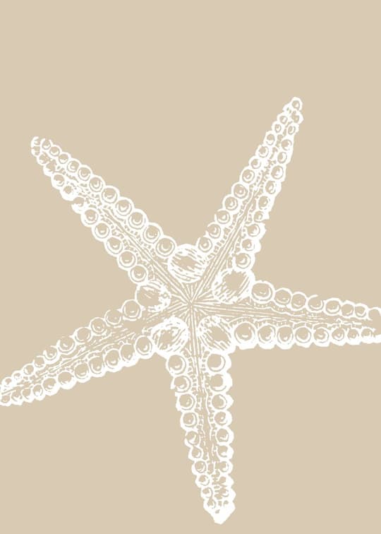 Starfish Study