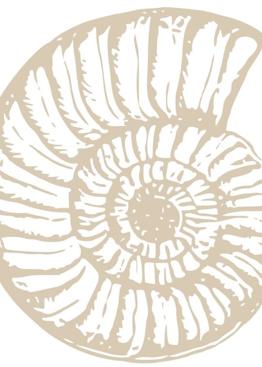 Botanical Shell Study