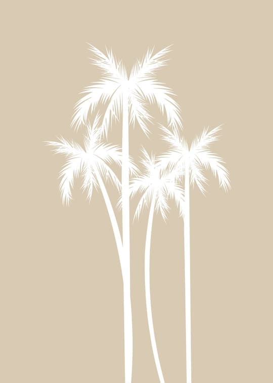 Minimalist Palms