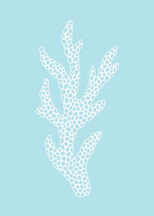 Minimalist Cactus