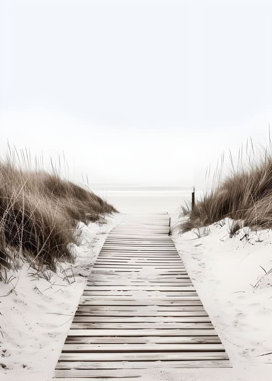 Path to the Sea
