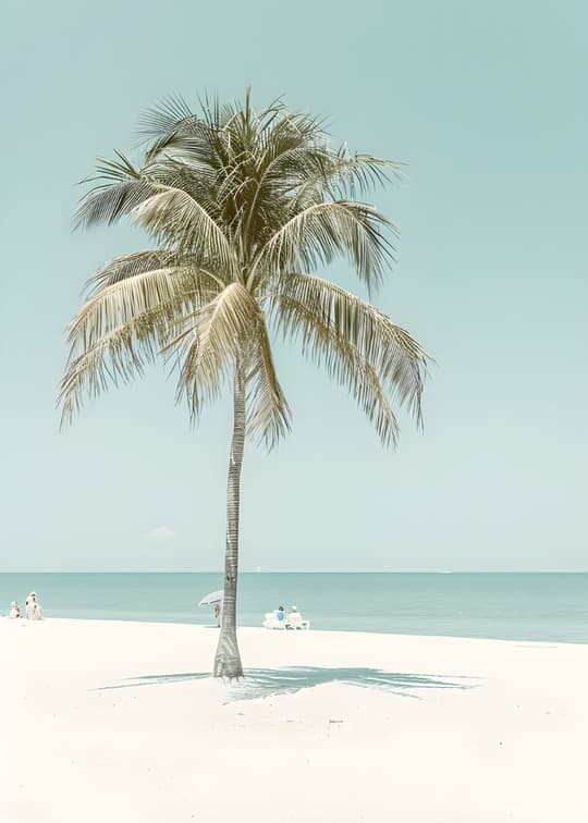 Solitary Palm Beach