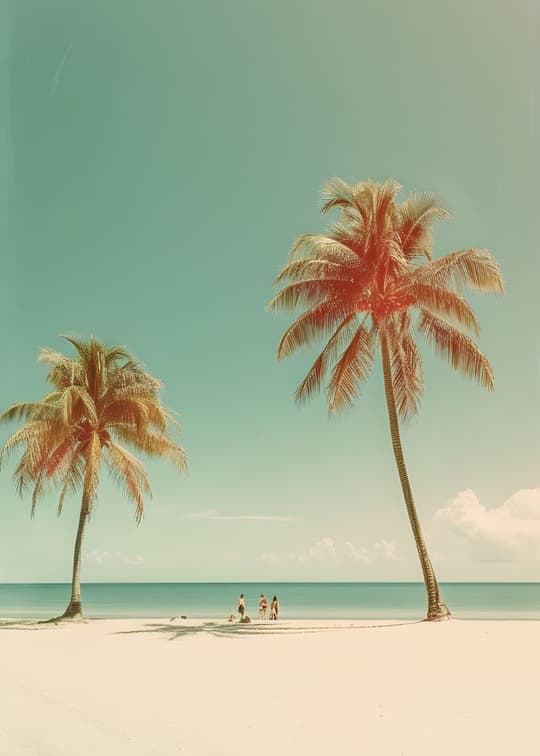 Tropical Paradise Beach