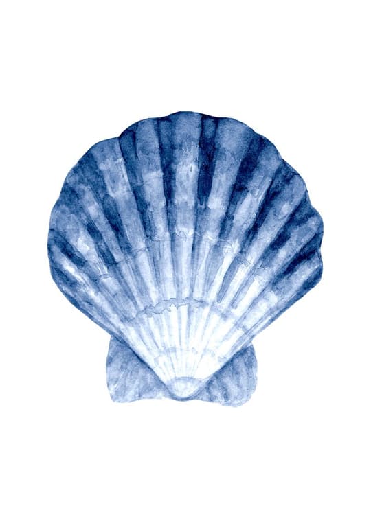 Blue Shell Study