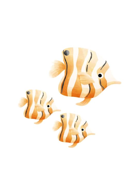 Striped Clownfish Family