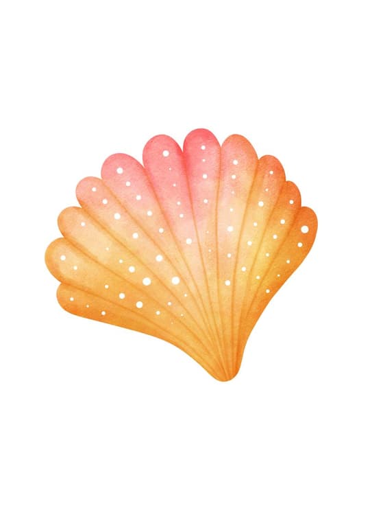 Coral Shell Gradient