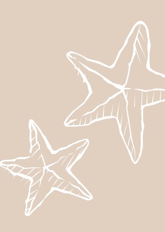 Starfish Line Art