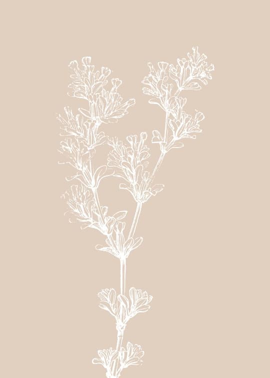 Botanical Study