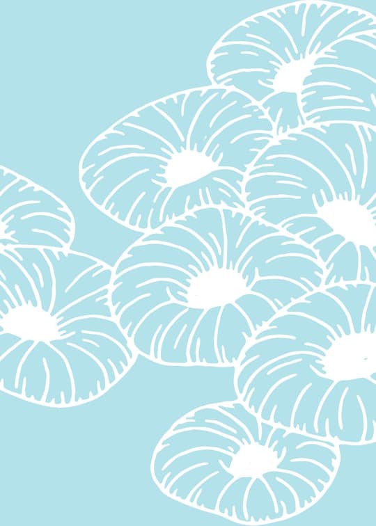 Daisy Blooms in Soft Blue