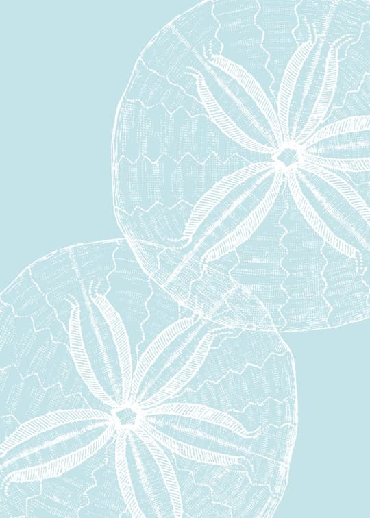 Botanical Line Art Flowers