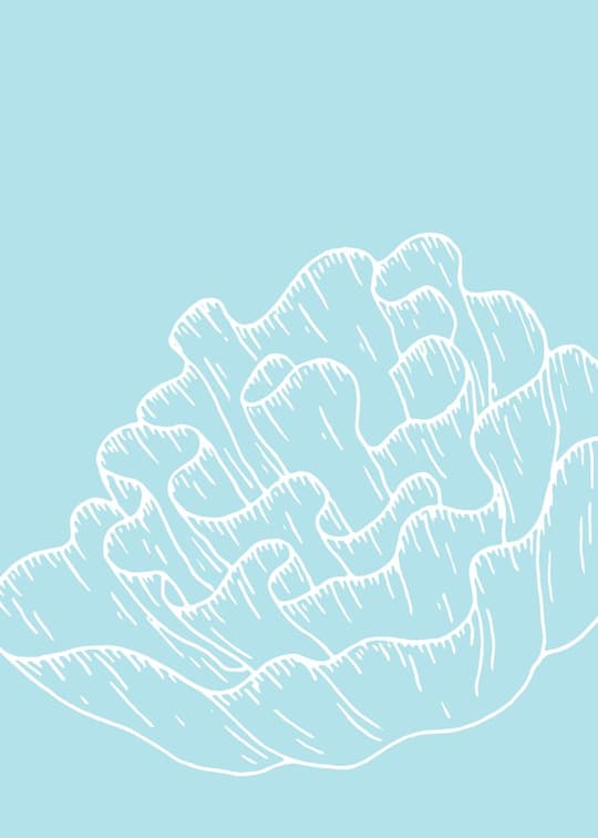 Cloud Study