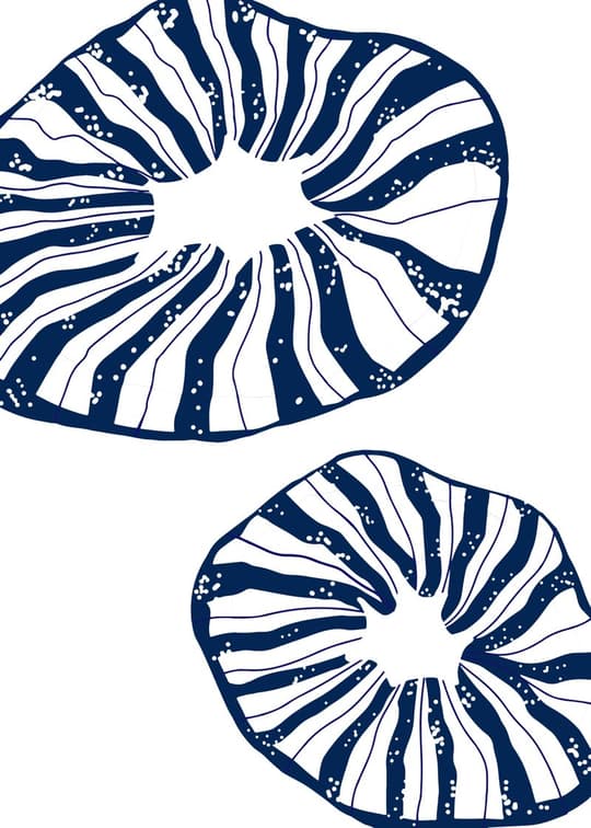 Navy Citrus Slices