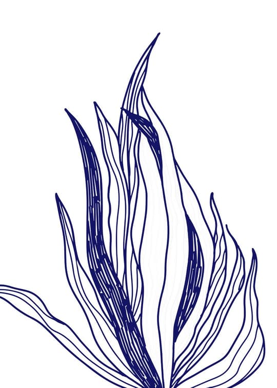 Botanical Line Study
