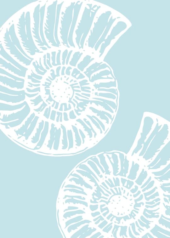Nautilus Spiral