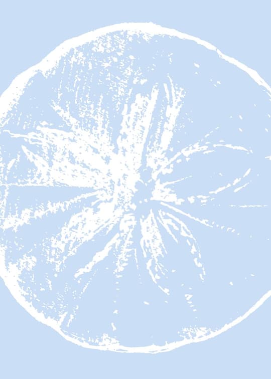 Jellyfish in Blue