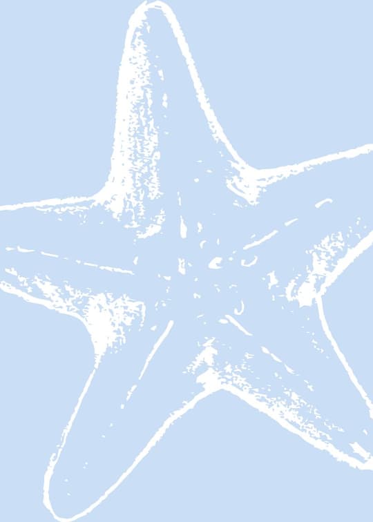 Starfish Study