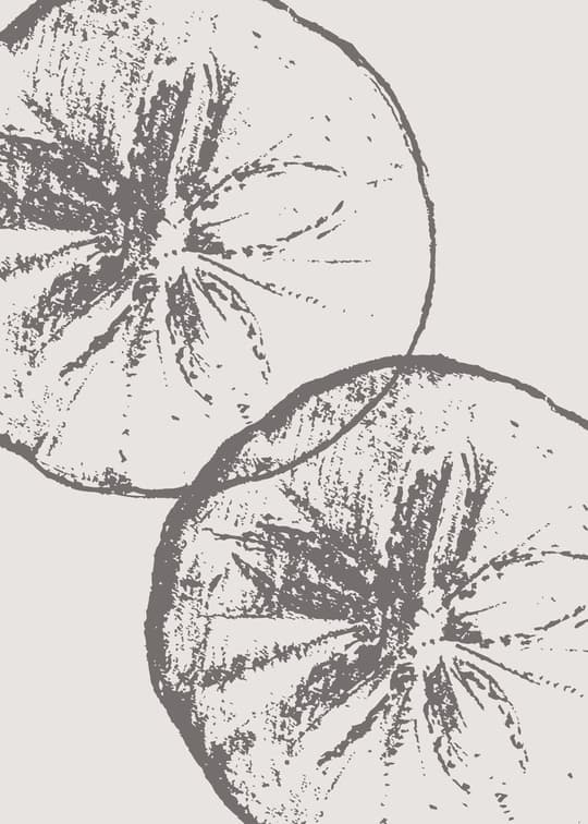 Textured Botanical Study