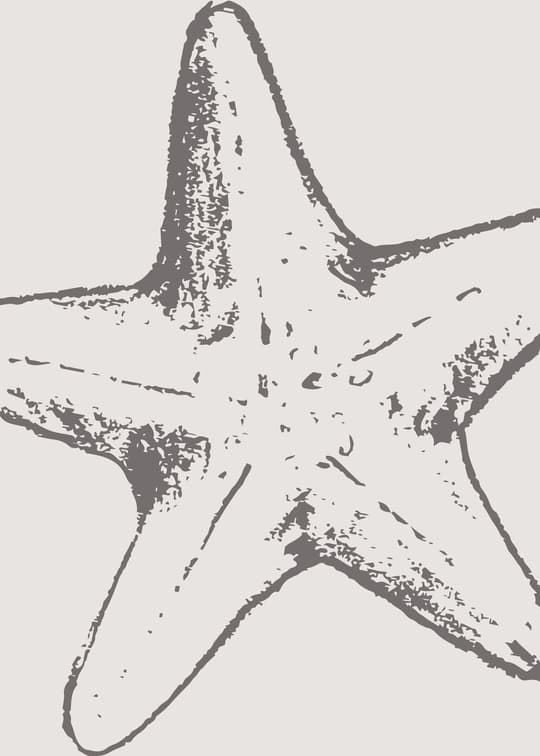 Starfish Study