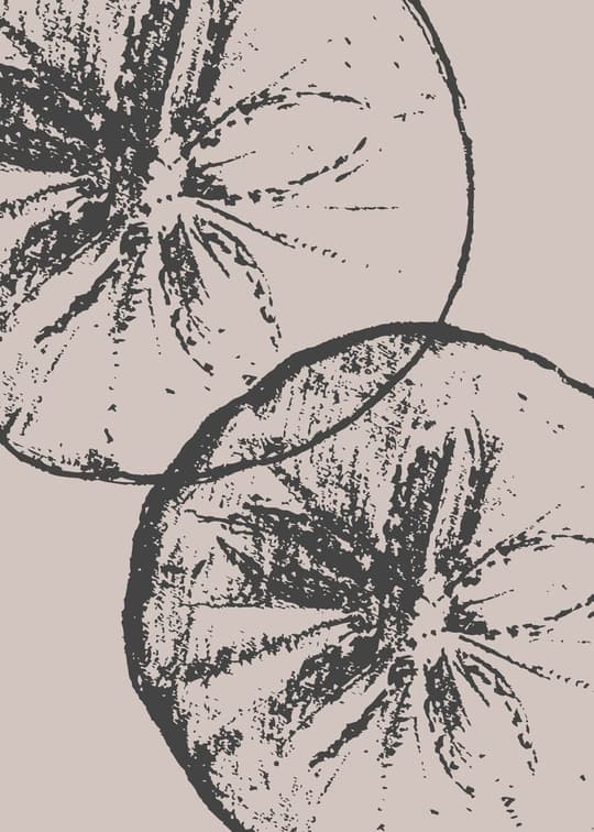 Dandelion Study