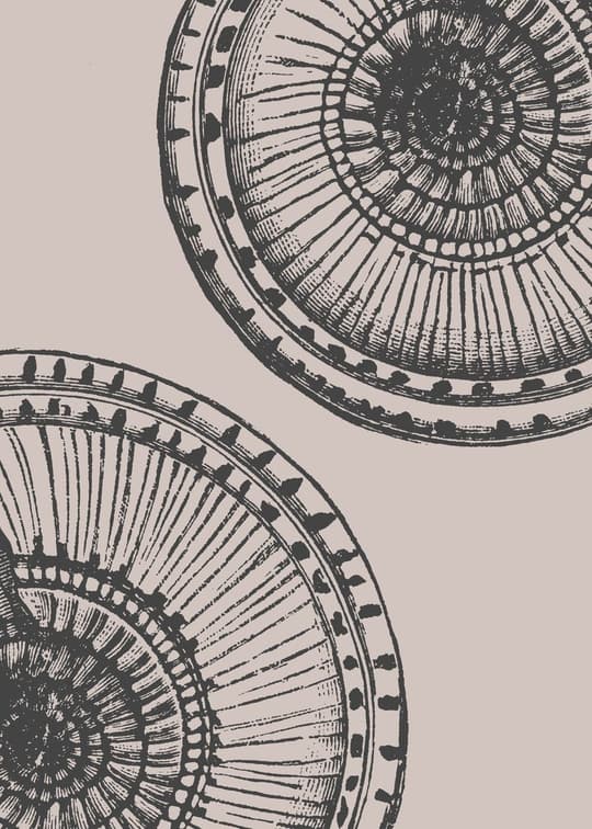 Radial Botanical Forms