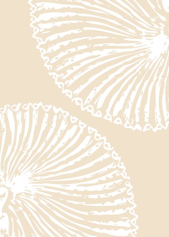 Seashell Botanicals