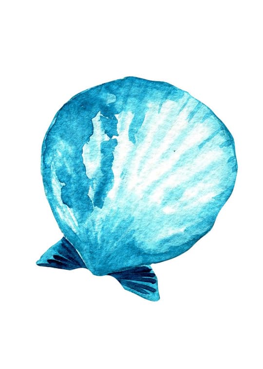 Turquoise Pufferfish