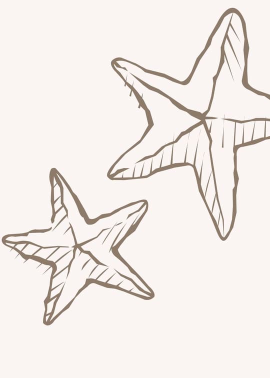 Starfish Line Drawing