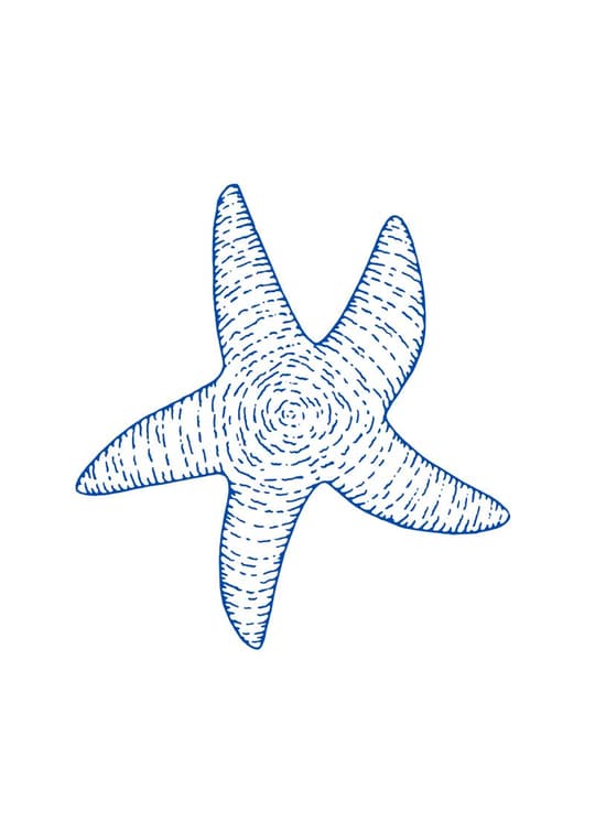 Blue Starfish
