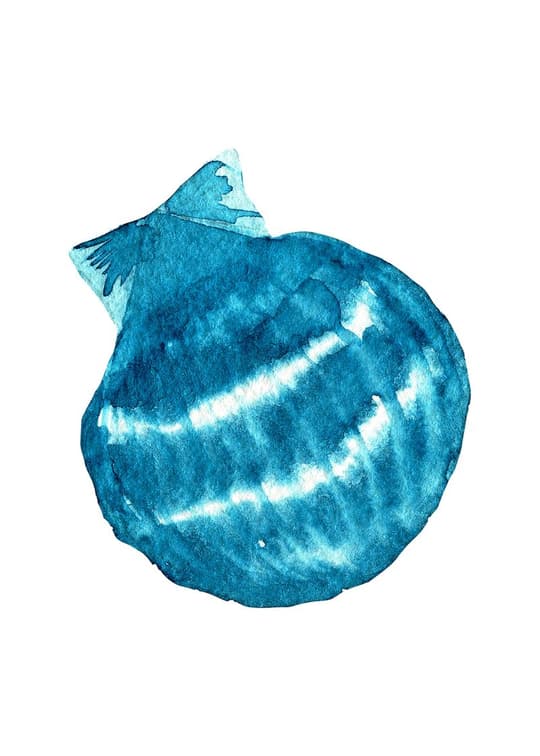 Blue Fish