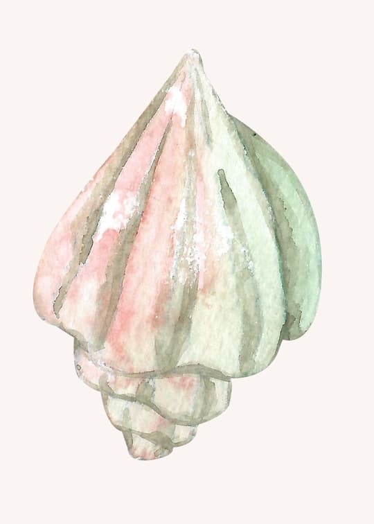 Delicate Bud