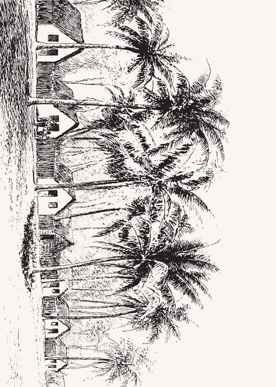 Tropical Colonial Street