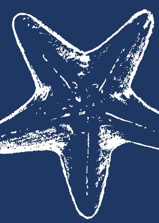 Starfish Study