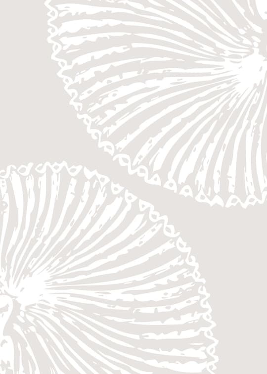 Shell Pattern Study