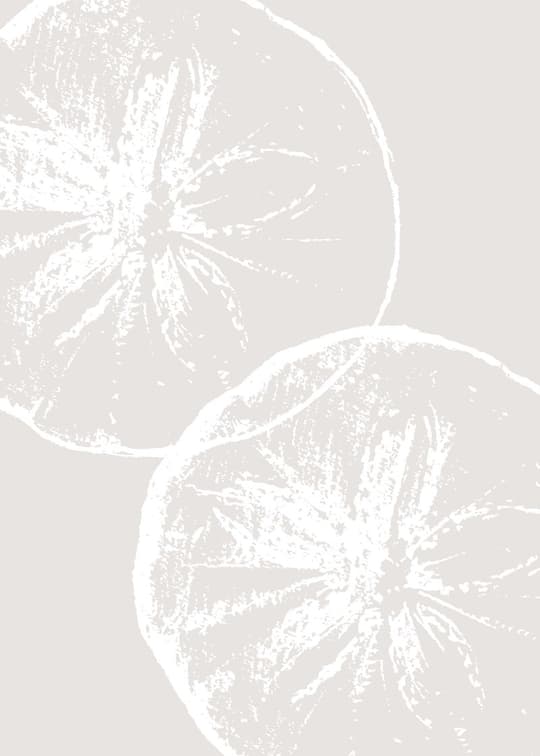 Citrus Slices