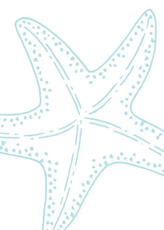Starfish Line Art