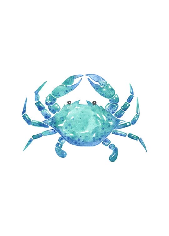 Blue Crab