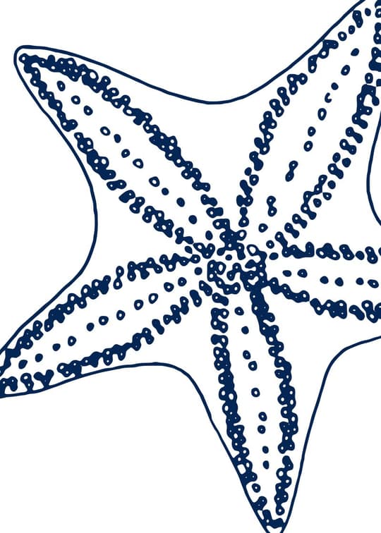 Starfish Study in Navy