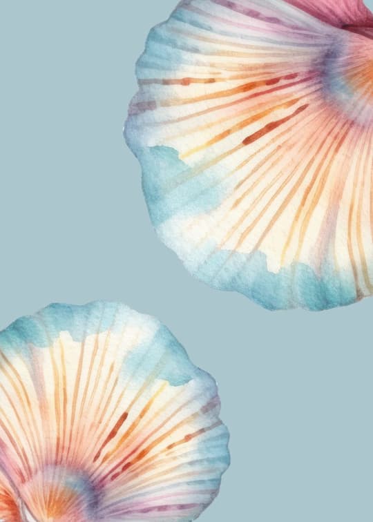 Seashells in Soft Hues