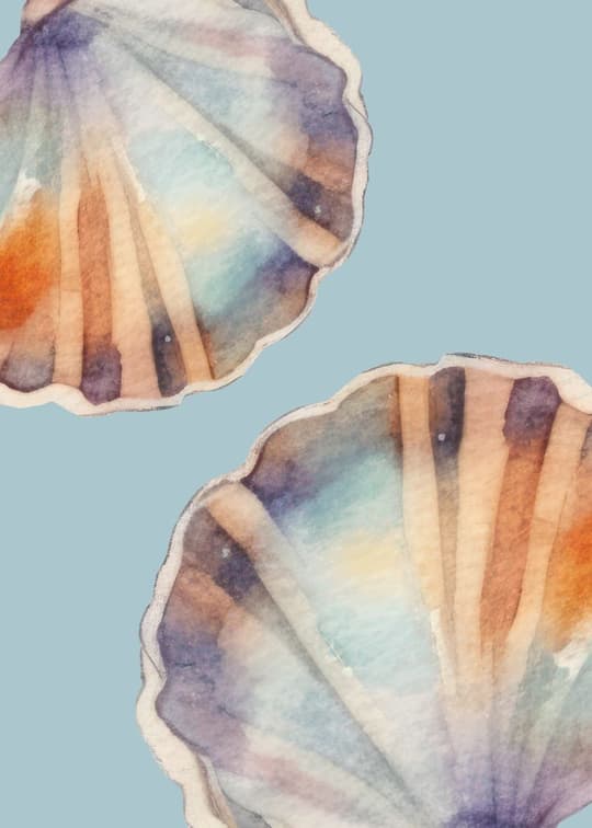 Watercolor Seashells
