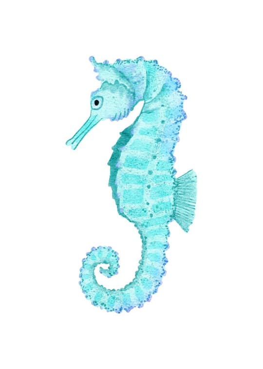 Turquoise Seahorse
